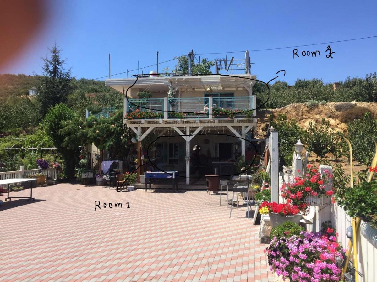 Paradise House 마즈달 샴스 외부 사진